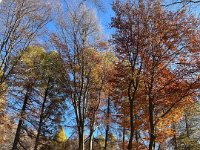 Lago di Cei 09 11 25 (43)