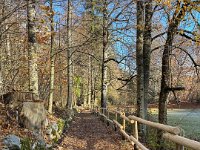 Lago di Cei 09 11 25 (47)