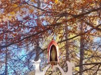 Lago di Cei 09 11 25 (8)