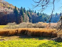 Lago di Cei 09 11 25 (9)