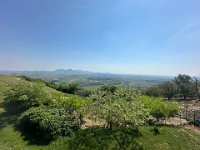 IMG 0598