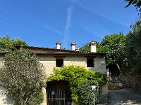 IMG 0871