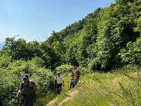 IMG 0883