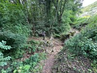 IMG 0905