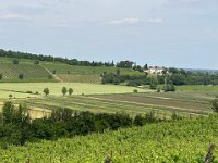 IMG 0912