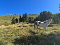 Pampeago Latemar 31 08 25 (28)