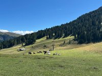 Pampeago Latemar 31 08 25 (43)