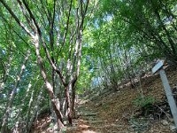 Rocca Pia-Corno D'Aquilio 22 06 2025 (17)