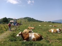 Rocca Pia-Corno D'Aquilio 22 06 2025 (28)