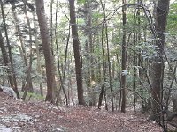Rocca Pia-Corno D'Aquilio 22 06 2025 (36)