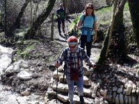 torbe -prun vajo dei ciclamini 30 03 25 (13)