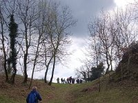torbe -prun vajo dei ciclamini 30 03 25 (16)