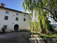 torbe -prun vajo dei ciclamini 30 03 25 (23)