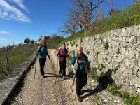 torbe -prun vajo dei ciclamini 30 03 25 (25)