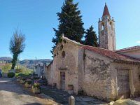 torbe -prun vajo dei ciclamini 30 03 25 (3)