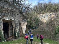torbe -prun vajo dei ciclamini 30 03 25 (40)