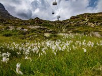 Val Senales 20 07 25 (40)