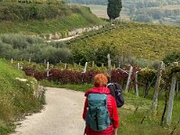 Valpolicella 12 10 25 (16)