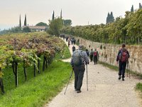 Valpolicella 12 10 25 (17)