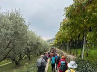 Valpolicella 12 10 25 (19)