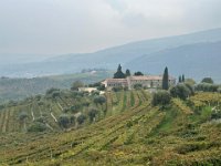 Valpolicella 12 10 25 (20)