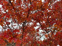 Valpolicella 12 10 25 (22)