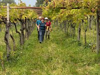 Valpolicella 12 10 25 (25)
