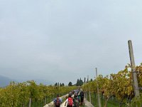 Valpolicella 12 10 25 (27)