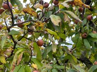 Valpolicella 12 10 25 (33)