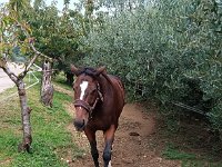 Valpolicella 12 10 25 (4)