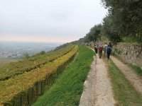 Valpolicella 12 10 25 (8)