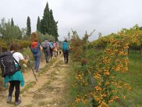 Valpolicella 12 10 25 (9)