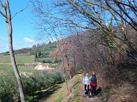 anello della storia 2025 03 04 (9)