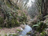 BADIA SAN MORO 160225  (1)