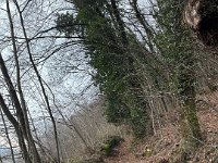 BADIA SAN MORO 160225  (11)