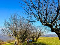 BADIA SAN MORO 160225  (21)