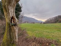 BADIA SAN MORO 160225  (23)