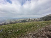 BADIA SAN MORO 160225  (5)