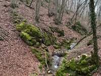 BADIA SAN MORO 160225  (8)