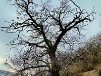 BADIA SAN MORO 160225  (9)