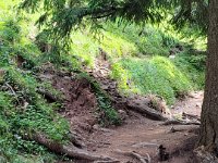 roda di vael 06 07 25 (19)