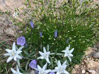 roda di vael 06 07 25 (24)