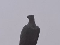 roda di vael 06 07 25 (3)