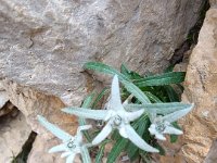 roda di vael 06 07 25 (50)