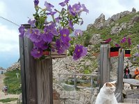 roda di vael 06 07 25 (52)