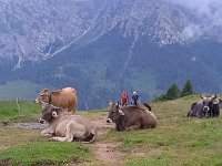roda di vael 06 07 25 (70)
