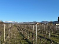 san briccio 2 feb 25 (12)