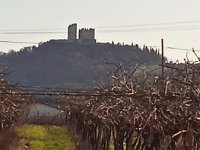 san briccio 2 feb 25 (38)