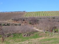 san briccio 2 feb 25 (39)