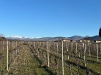 san briccio 2 feb 25 (5)
